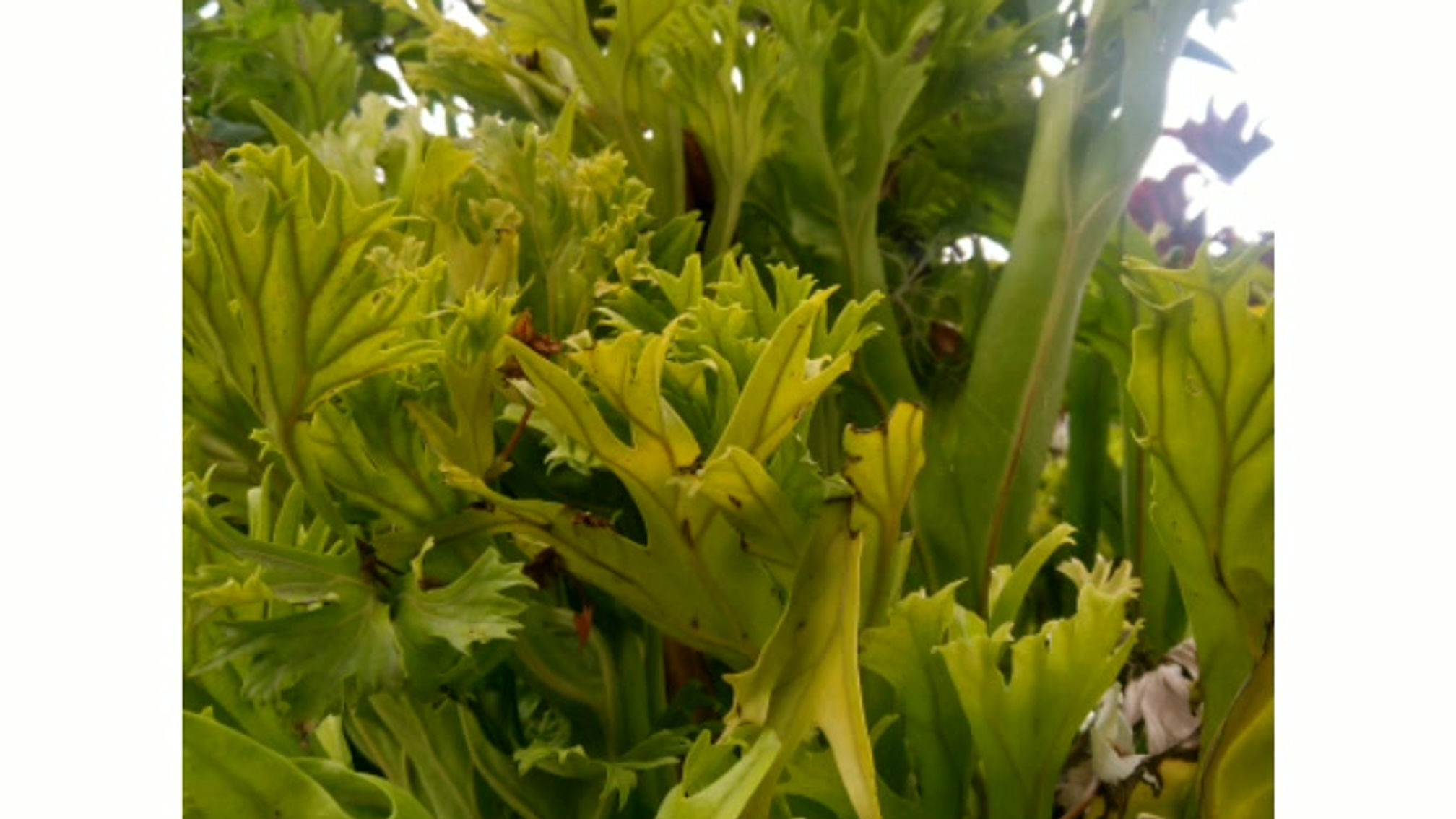 InShot_20190823_185722369